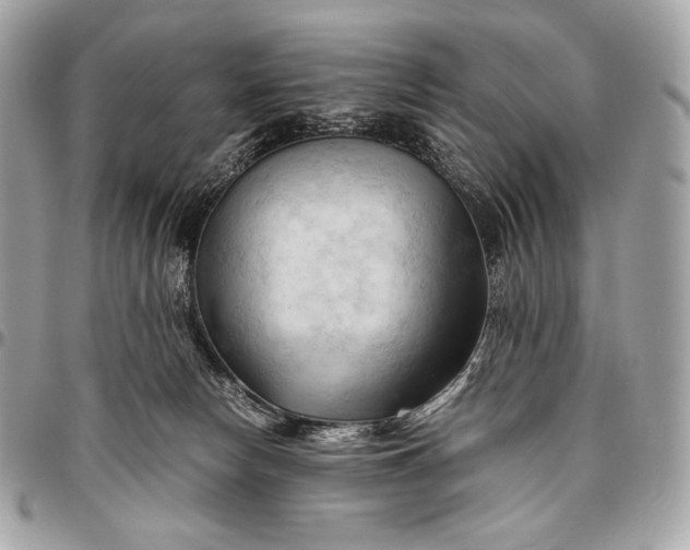 X0000096440178200802071756