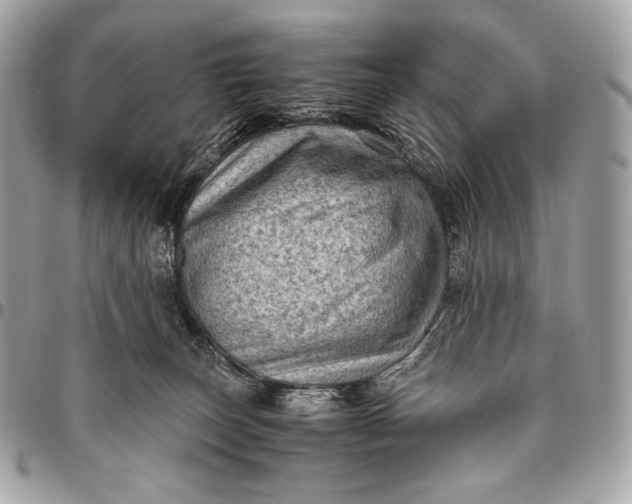 X0000096440179200802071757