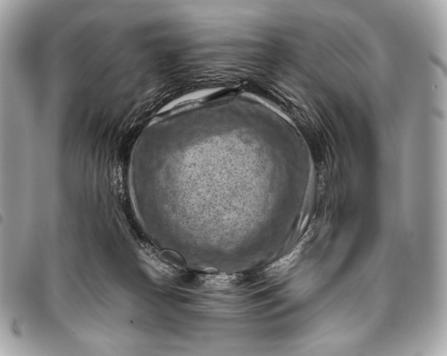 X0000096440182200802071757