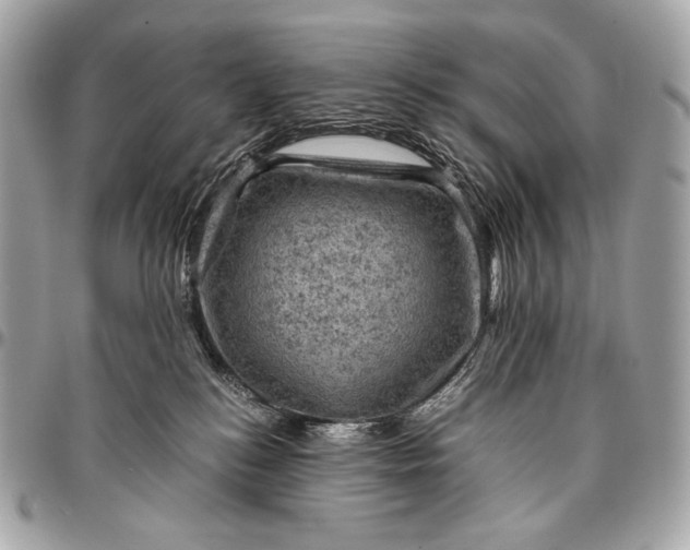 X0000096440184200802071757