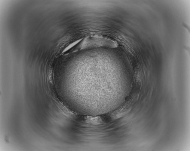 X0000096440185200802071757