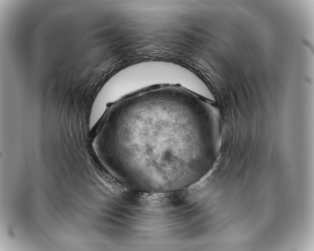 X0000096440186200802071757