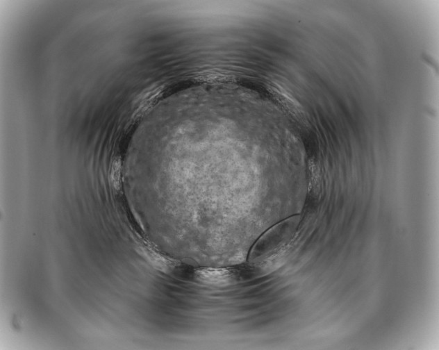 X0000096440189200802071757