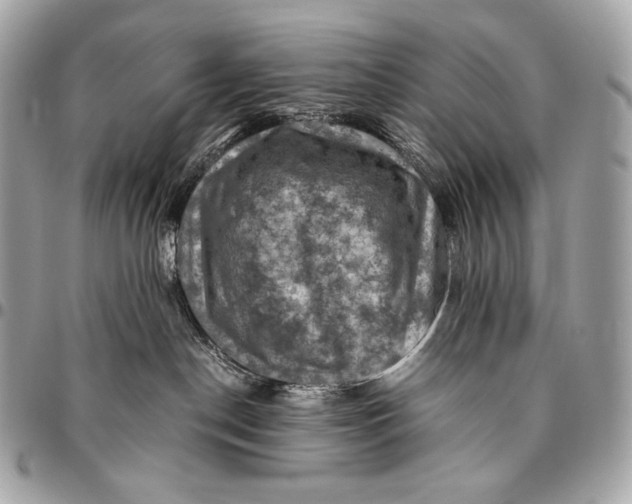 X0000096440190200802071757