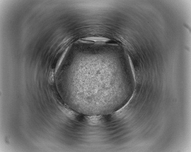 X0000096440191200802071757