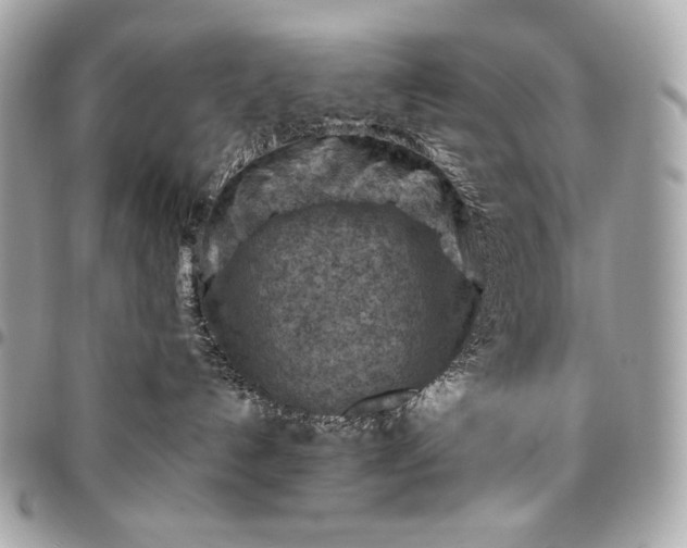 X0000096440192200802071757