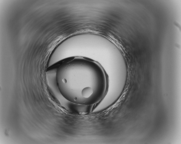 X0000096440193200802071756