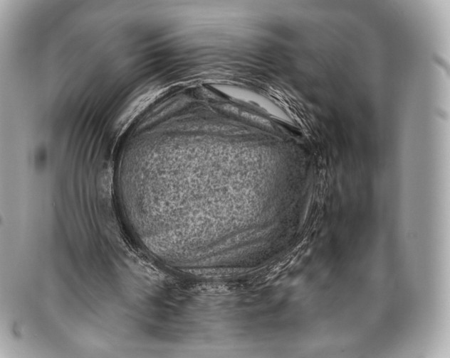 X0000096440194200802071756