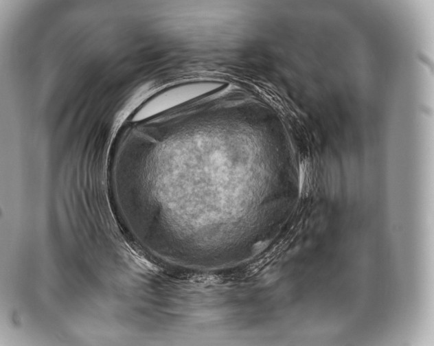 X0000096440195200802071756