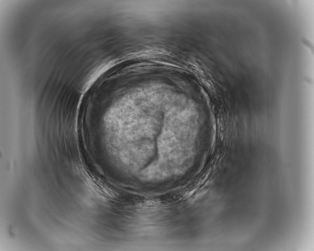 X0000096440196200802071756