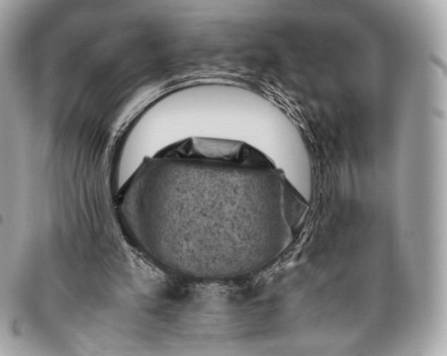 X0000096440197200802071756