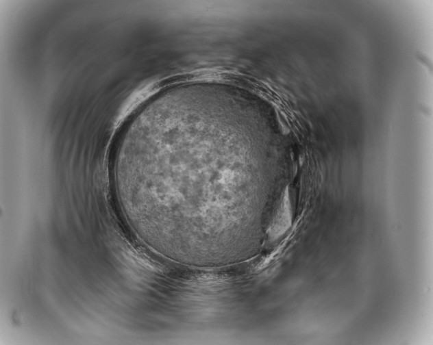 X0000096440198200802071756