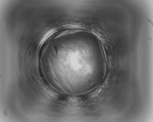 X0000096440199200802071756