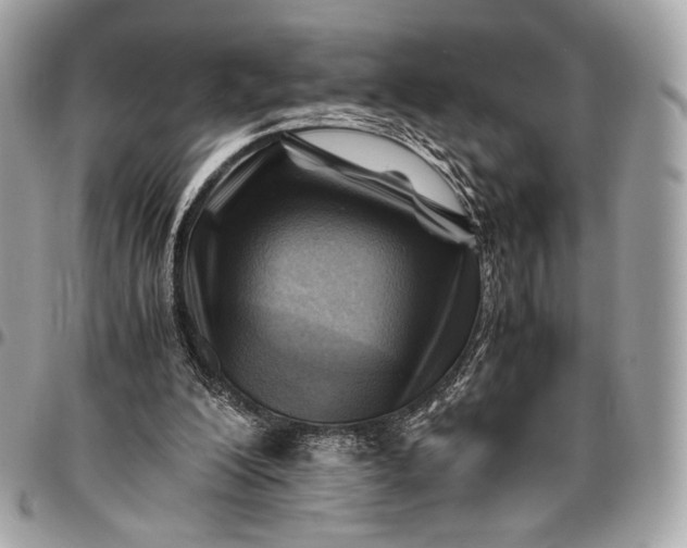 X0000096440200200802071756