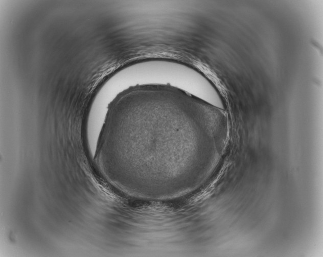 X0000096440201200802071756