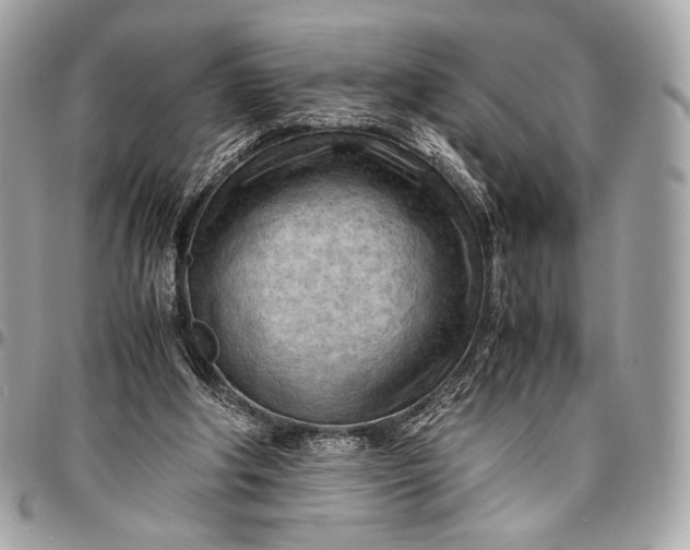 X0000096440202200802071756