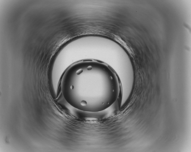 X0000096440203200802071756