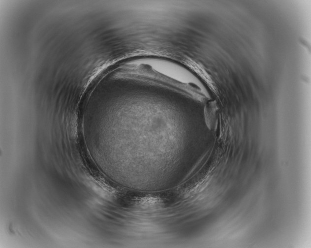 X0000096440204200802071756