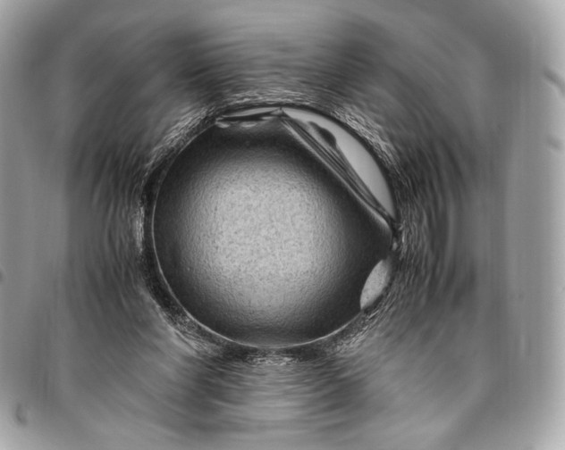 X0000096440206200802071756