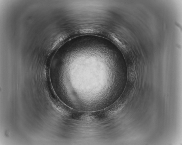 X0000096440207200802071756