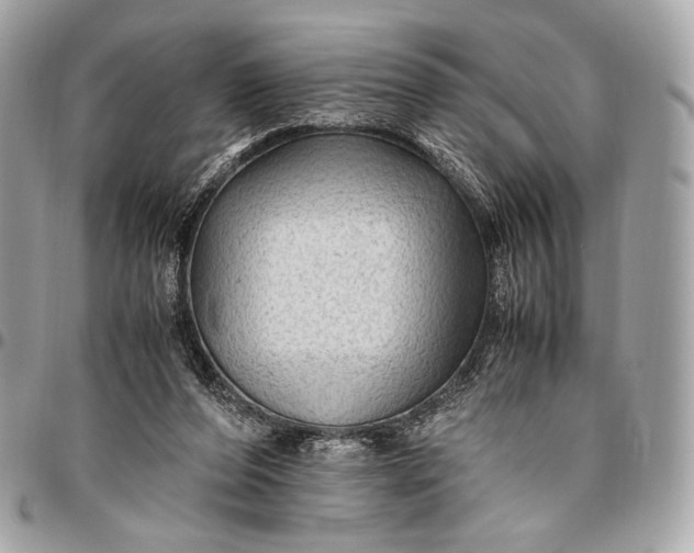 X0000096440208200802071756