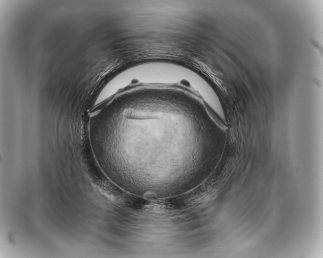 X0000096440211200802071756