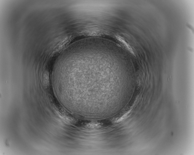 X0000096440213200802071756