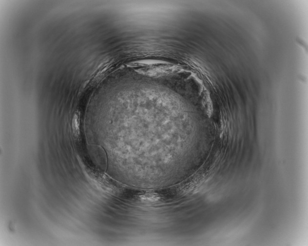 X0000096440214200802071756