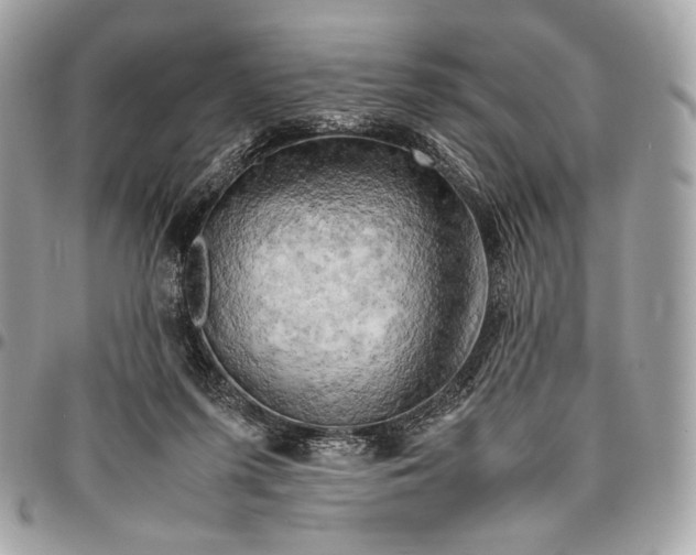 X0000096440215200802071756