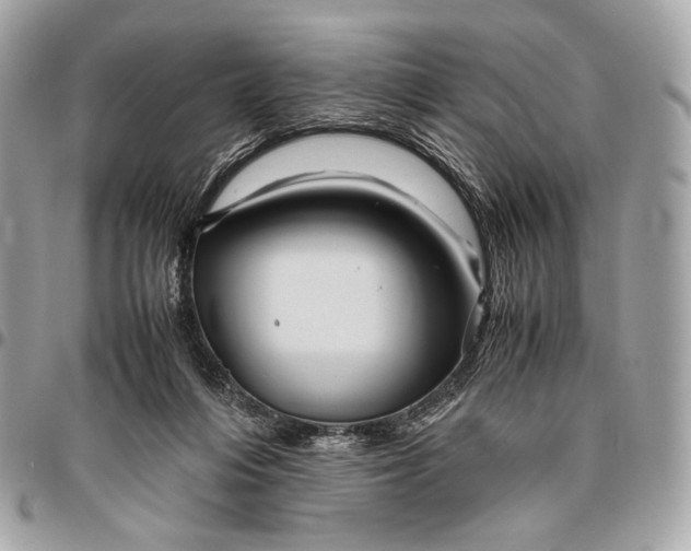 X0000096440216200802071756