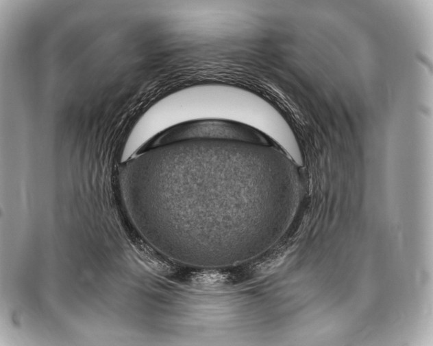 X0000096440217200802071756