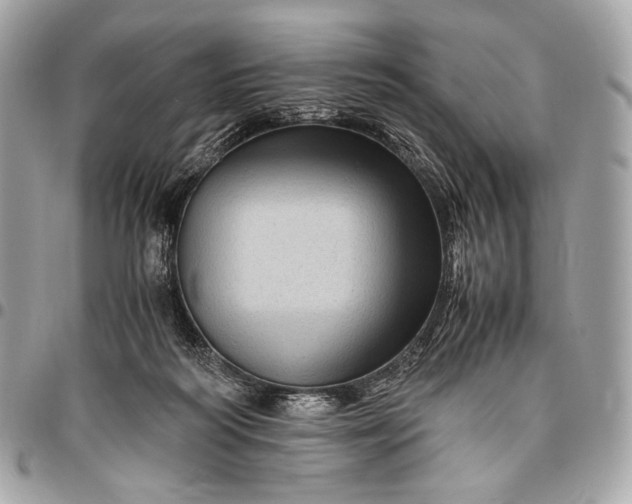 X0000096440218200802071756