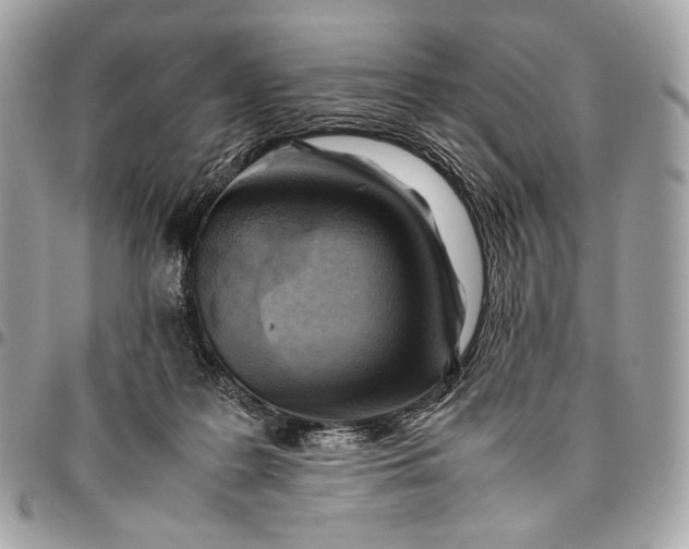 X0000096440219200802071756