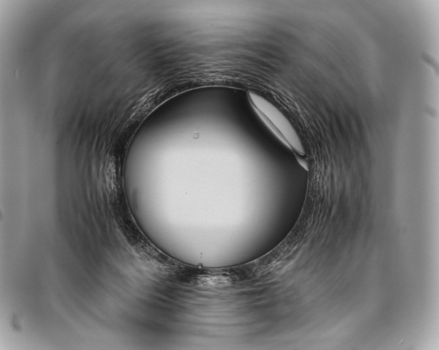 X0000096440220200802071756