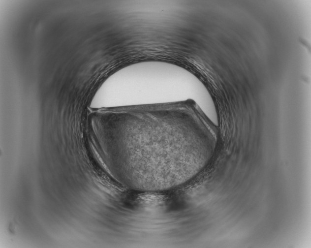 X0000096440221200802071756