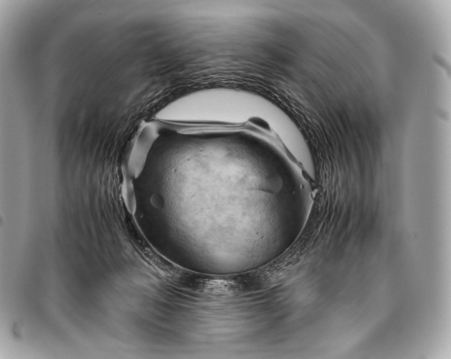 X0000096440222200802071756