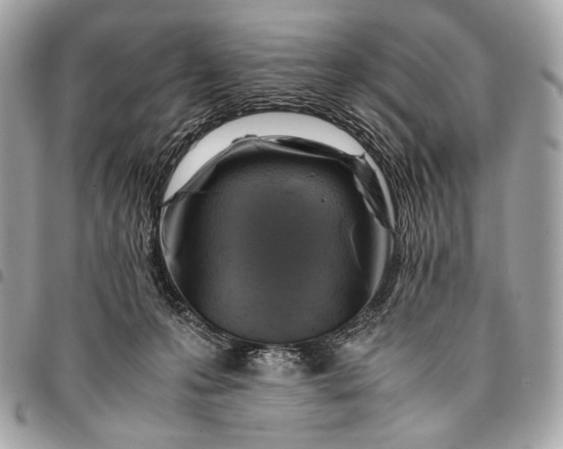 X0000096440223200802071756