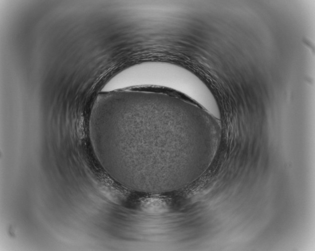 X0000096440224200802071755