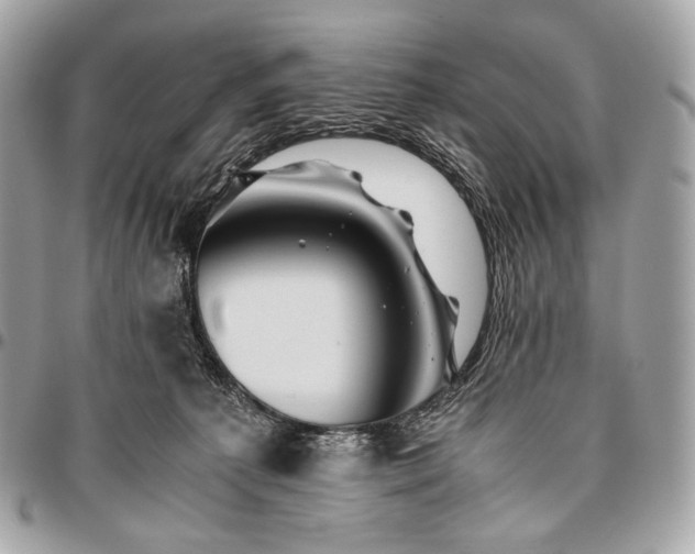 X0000096440225200802071755