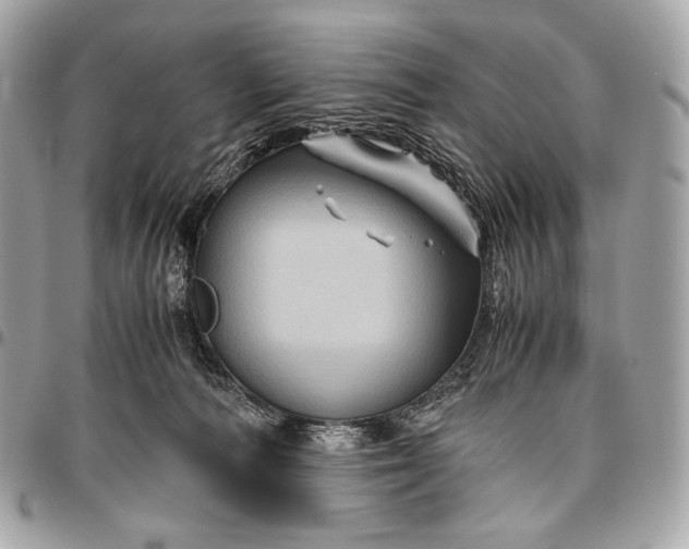 X0000096440226200802071755