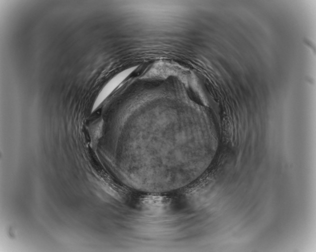 X0000096440227200802071755