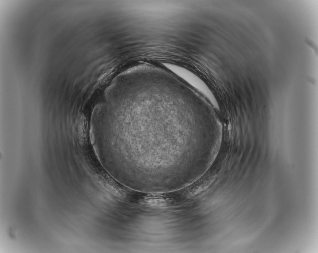 X0000096440228200802071755