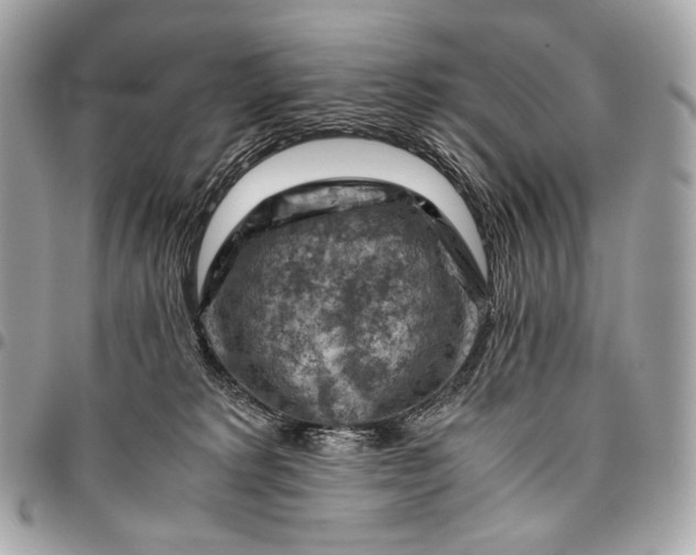 X0000096440229200802071755