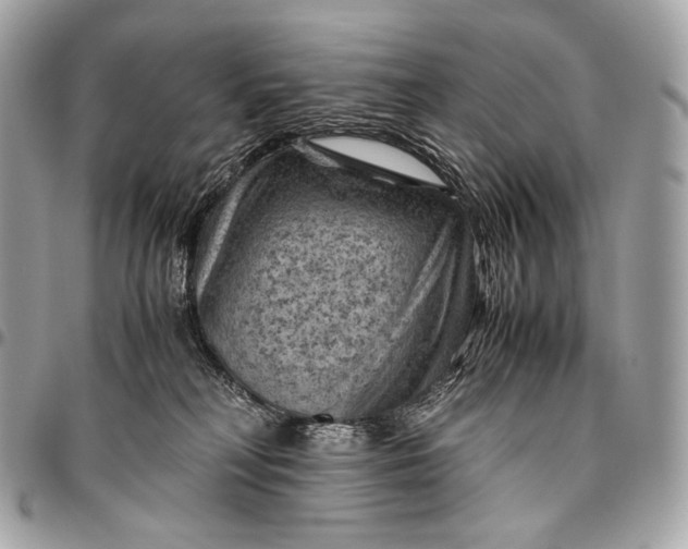 X0000096440230200802071755