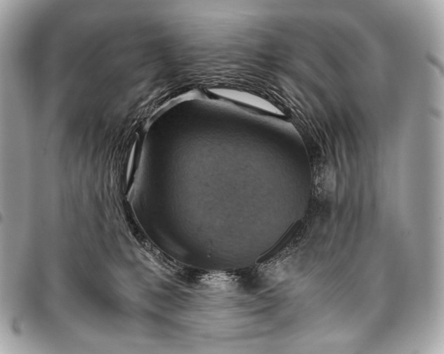 X0000096440231200802071755