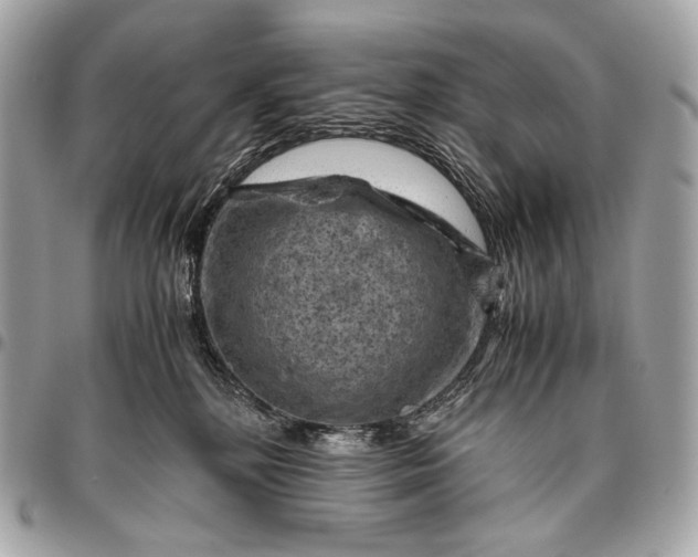 X0000096440232200802071755