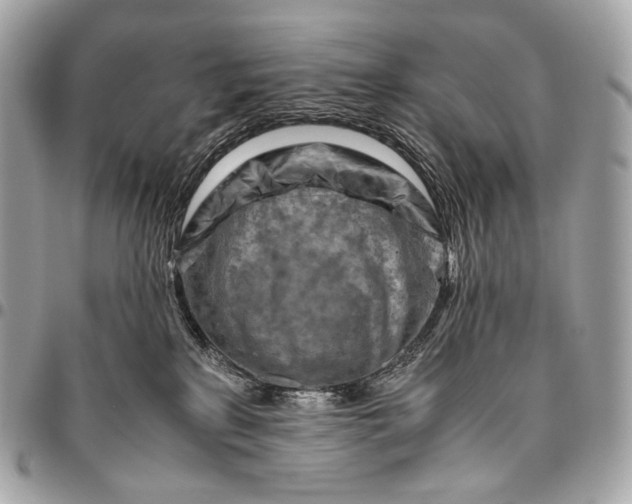 X0000096440233200802071755