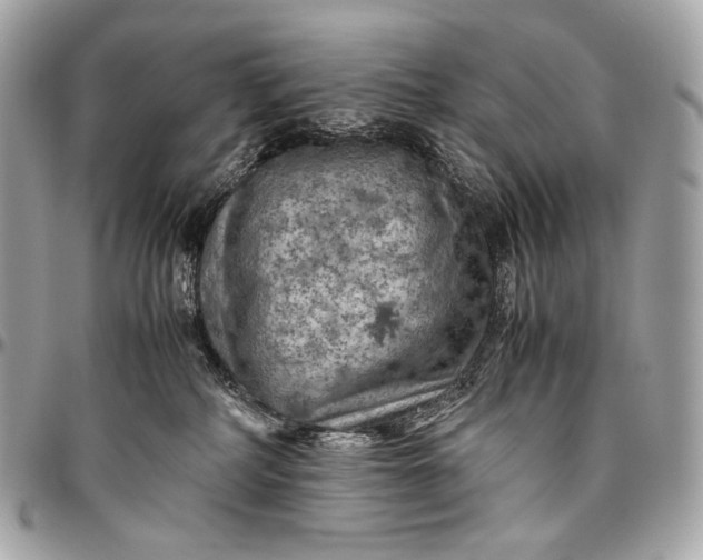 X0000096440234200802071755