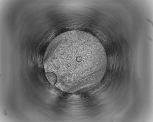 X0000096440236200802071755