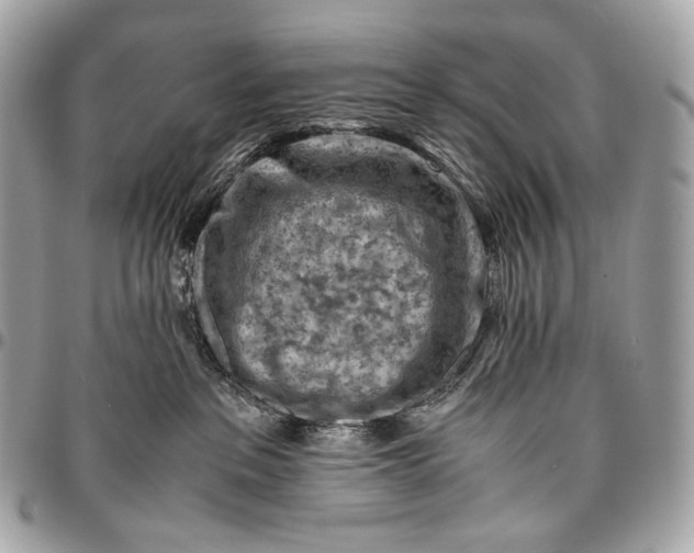 X0000096440237200802071755